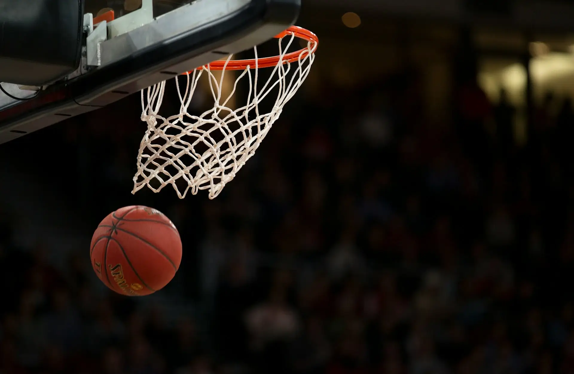 ¡Pivot33! La Revolución del Baloncesto Amateur! | Mundo Ingeniería